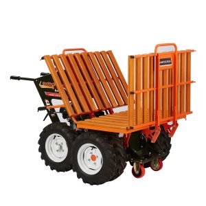 raf_sistemi_elarabasi